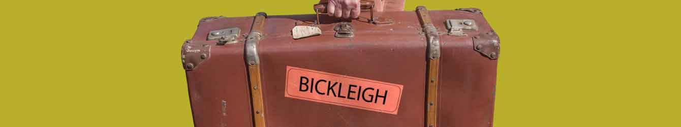 Artistic banner representing Bickleigh Visit Here